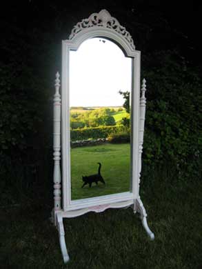 Hand painted mirror by Jamie MacDonald Hand painted mirror image